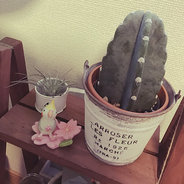 Kanaさんの実例写真