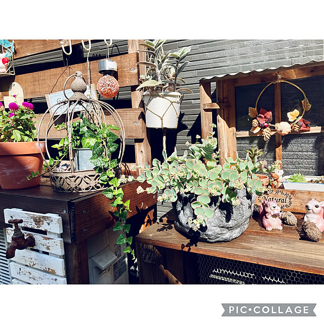 CoCo0617さんの実例写真