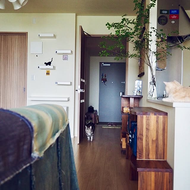 y.k.0123さんの実例写真