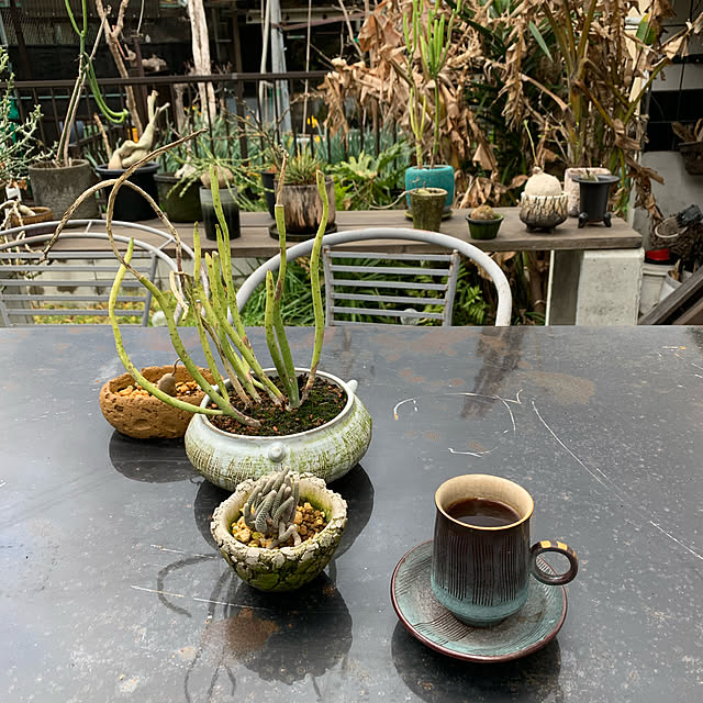 Yojiさんの実例写真