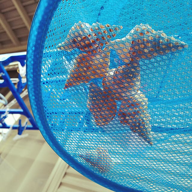 WASABIさんの実例写真