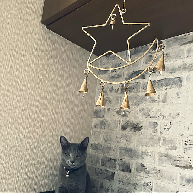 kyonさんの実例写真