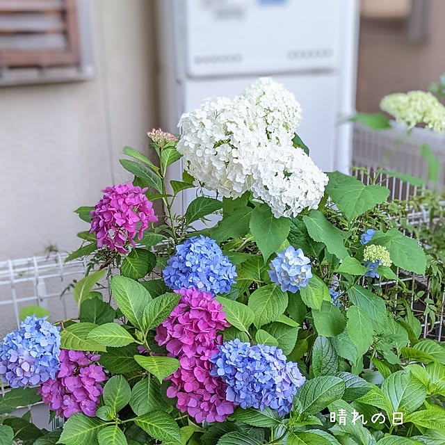 junさんの実例写真