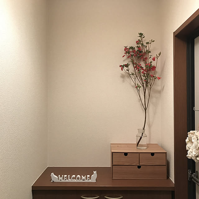 __ax_sx__さんの実例写真