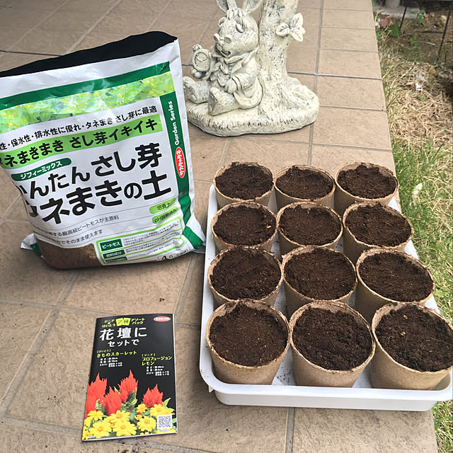 seiasaさんの実例写真