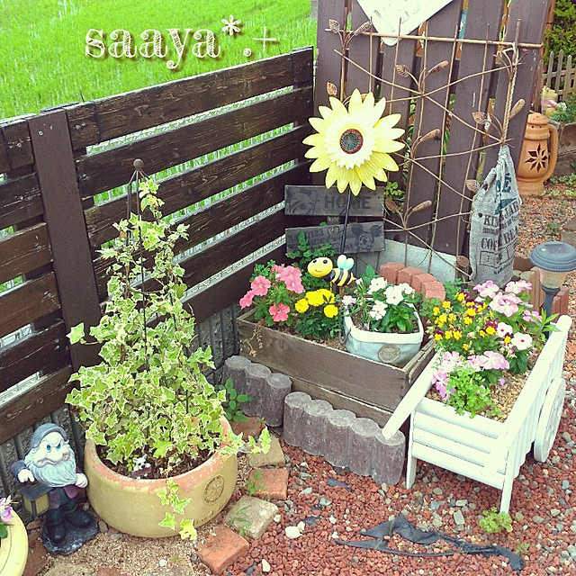 saayaさんの実例写真