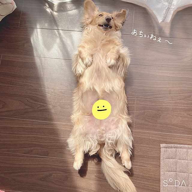 -Riley-mama.-さんの実例写真