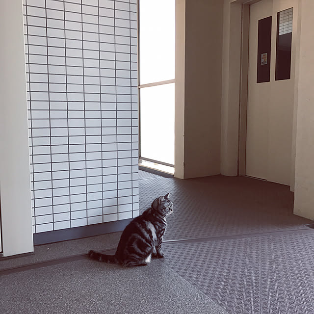hiyupan88さんの実例写真