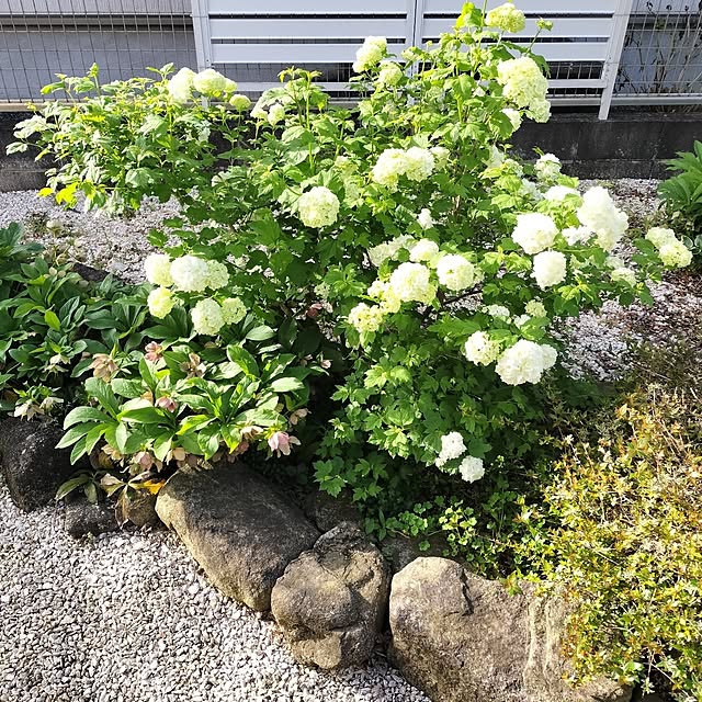 feuileさんの部屋