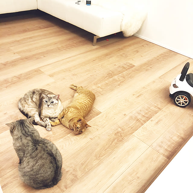 funikoさんの実例写真