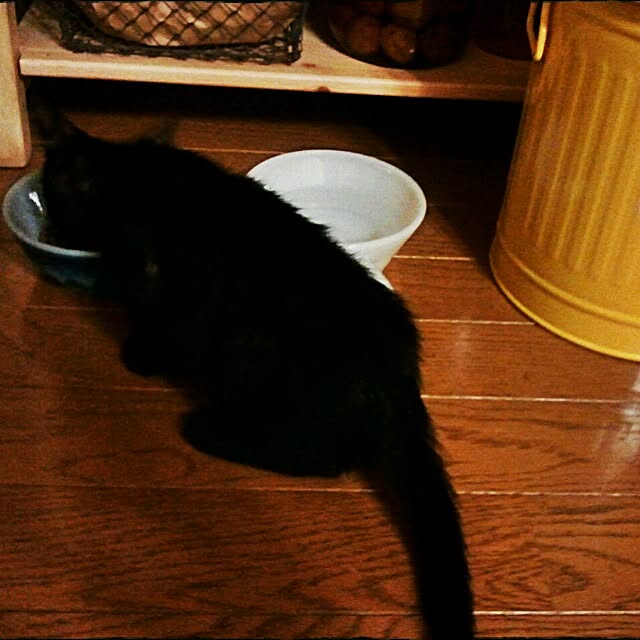 Misatoさんの実例写真