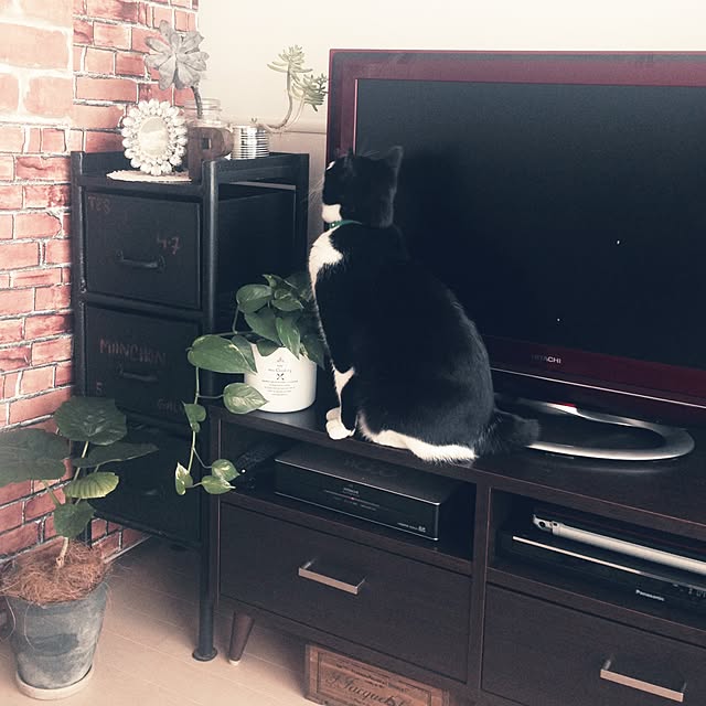 mikasakuさんの実例写真
