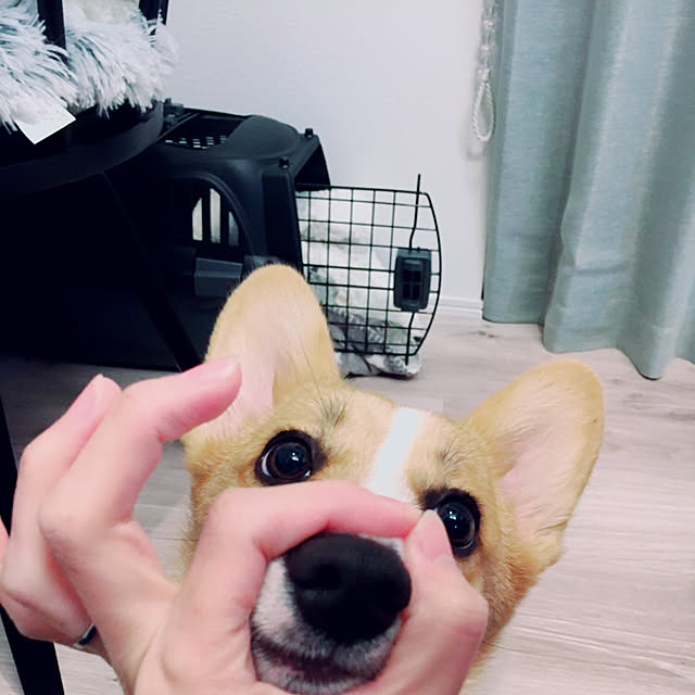 3ayuさんの実例写真