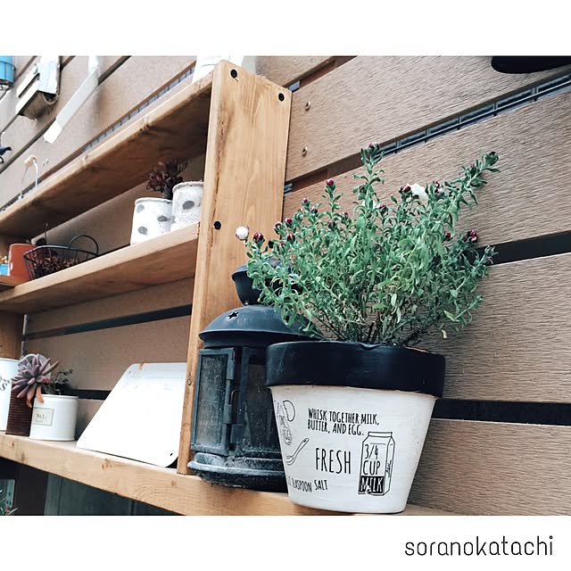soranokatachiさんの実例写真