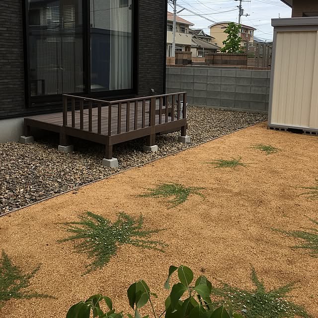 yoshiさんの実例写真