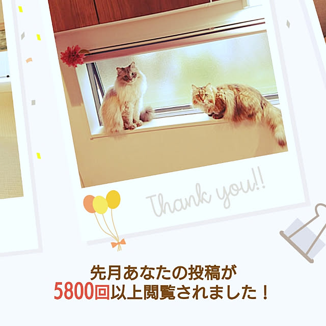 monamocoaraさんの実例写真