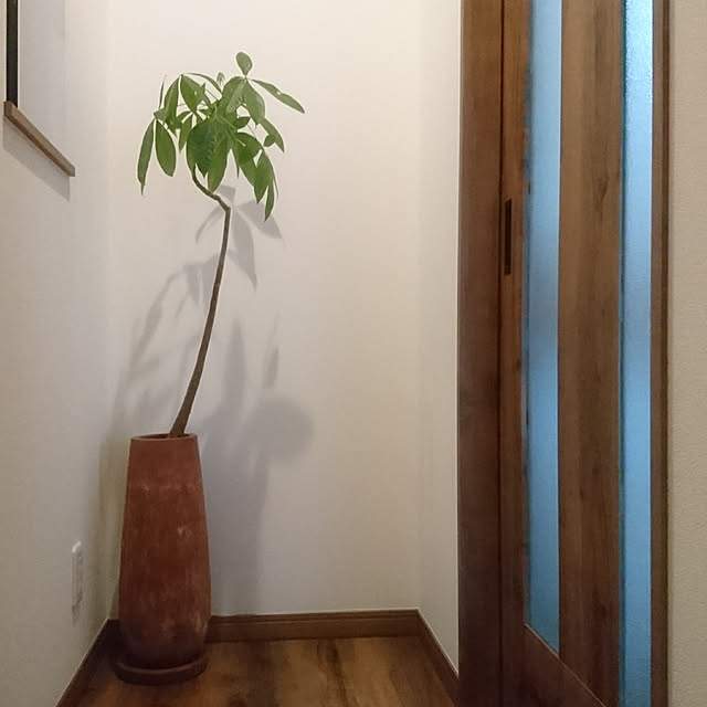 kikuuuuuさんの実例写真