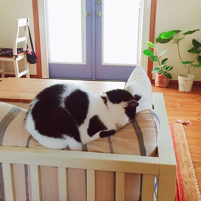 ktysさんの実例写真