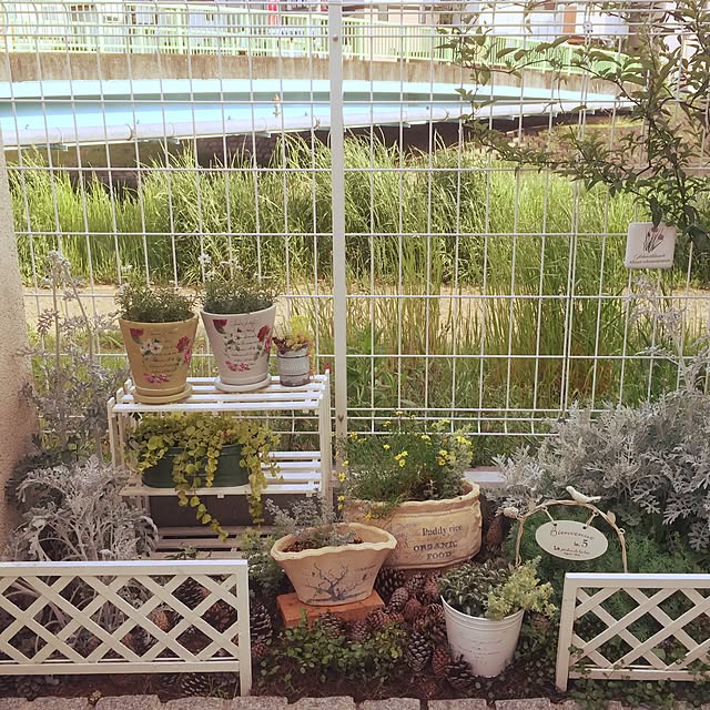 実例写真