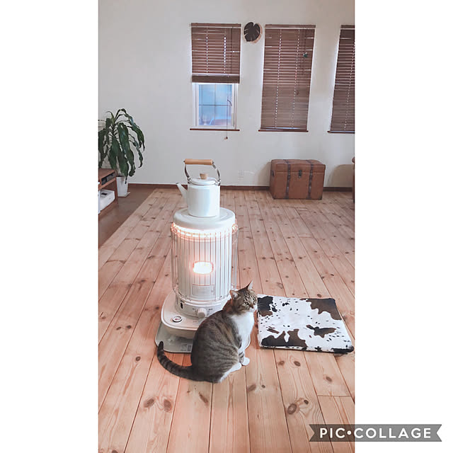 yurari.bonnさんの実例写真
