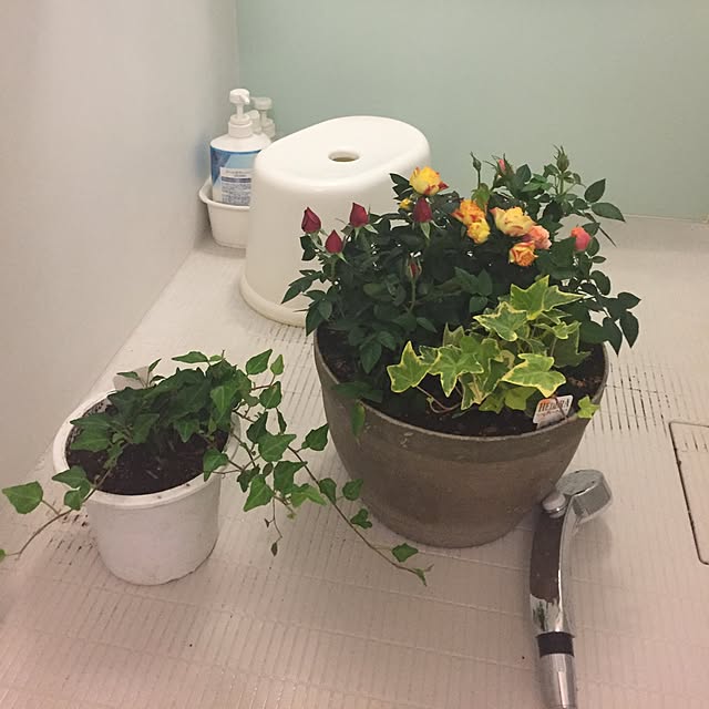 emiさんの実例写真
