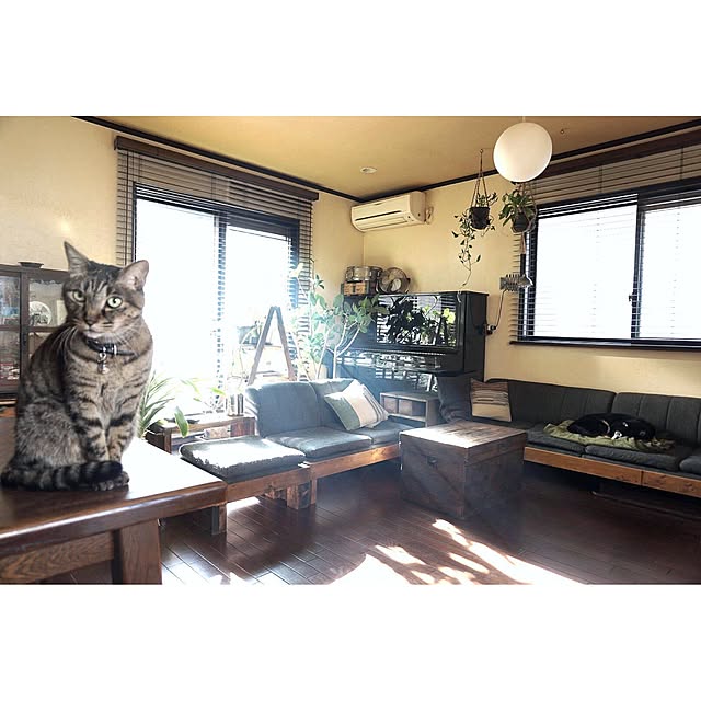 jnkaiさんの実例写真