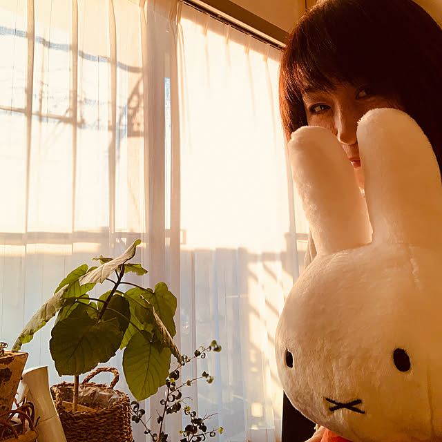 JUNさんの実例写真