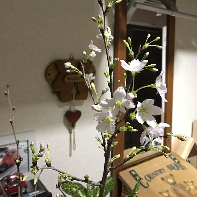 実例写真