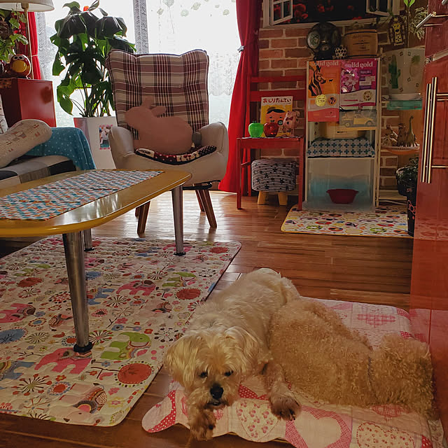 kumutanさんの実例写真