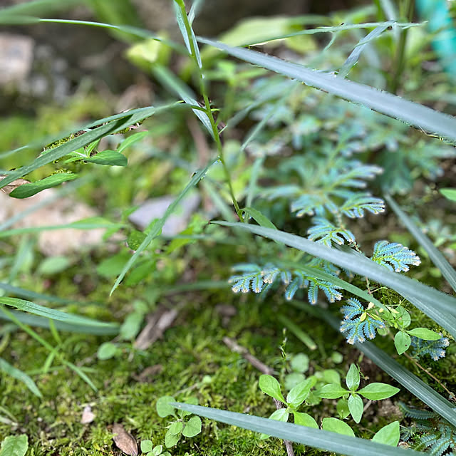 buchiさんの部屋