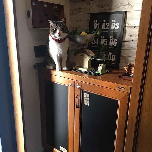 Rumiさんの実例写真
