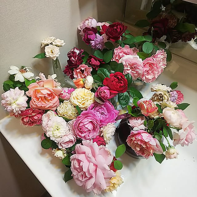 hiromimiさんの実例写真
