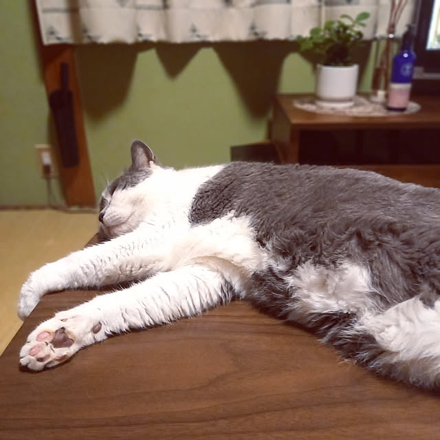 rhuさんの実例写真