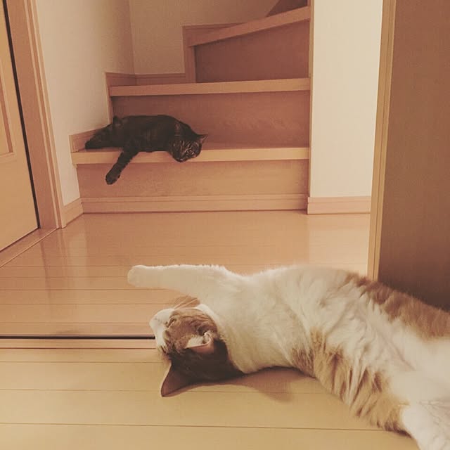 makiさんの実例写真