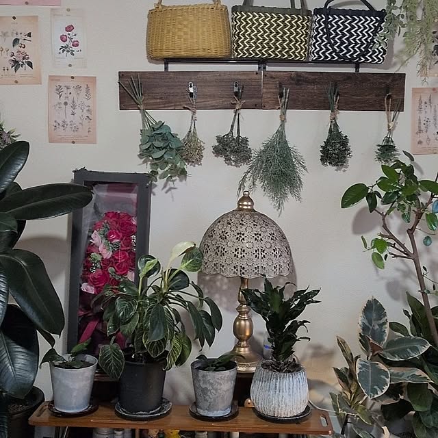 umeboshicyanさんの部屋