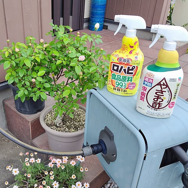 mutsuさんの部屋