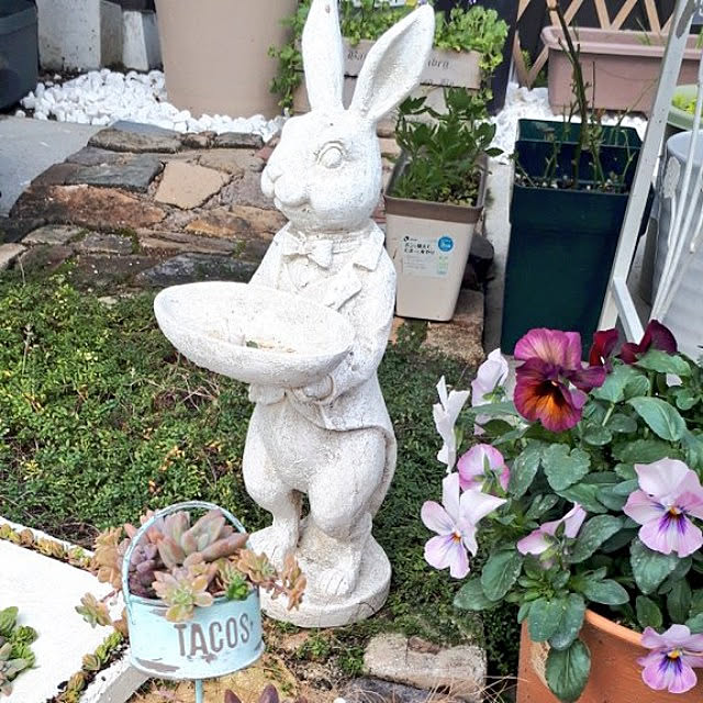 aiさんの実例写真