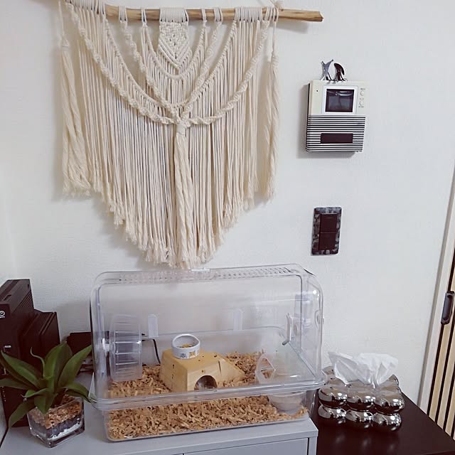 G.Mさんの部屋