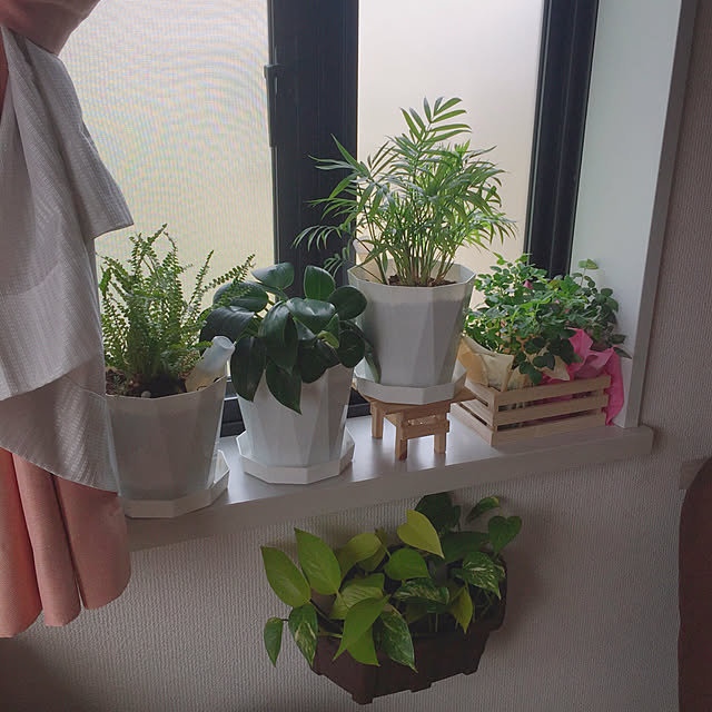 RanRanさんの実例写真