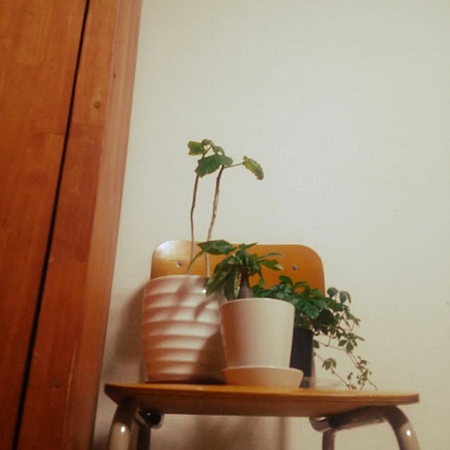 chamuさんの実例写真