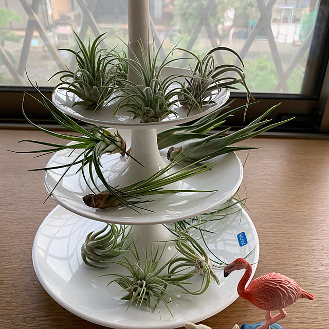 makizoさんの実例写真