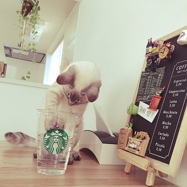 belltanさんの実例写真