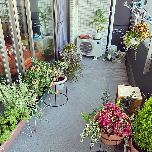 Marron_cavalierさんの実例写真