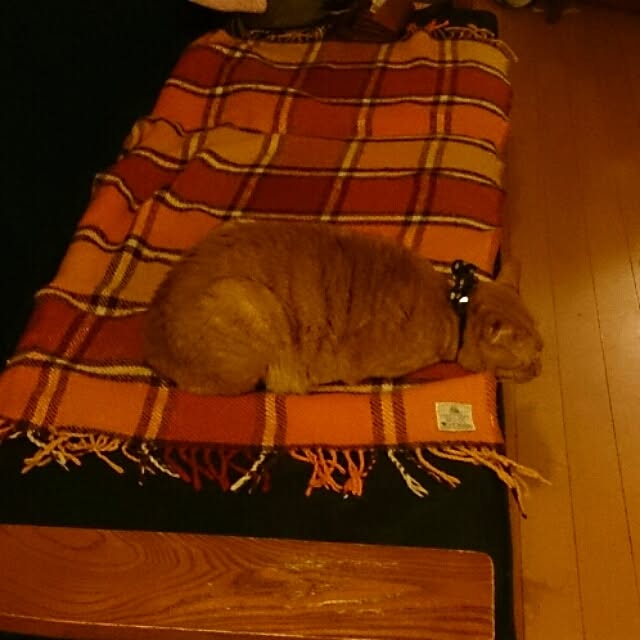 kuhaさんの実例写真