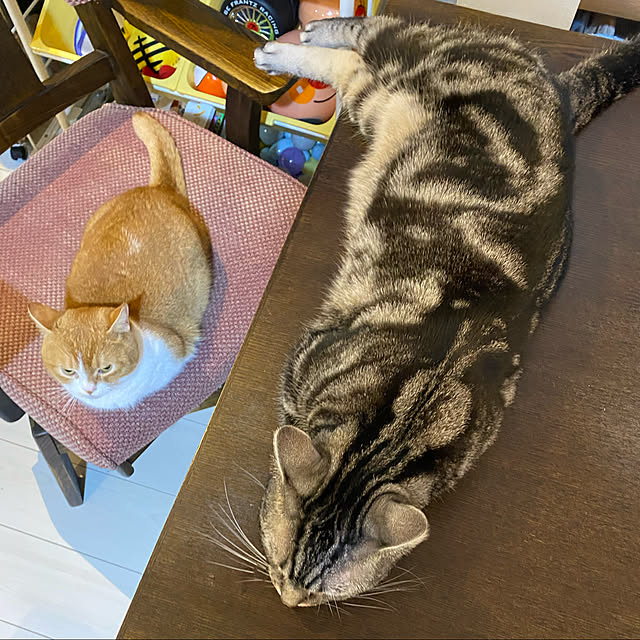 KotarouKunさんの実例写真