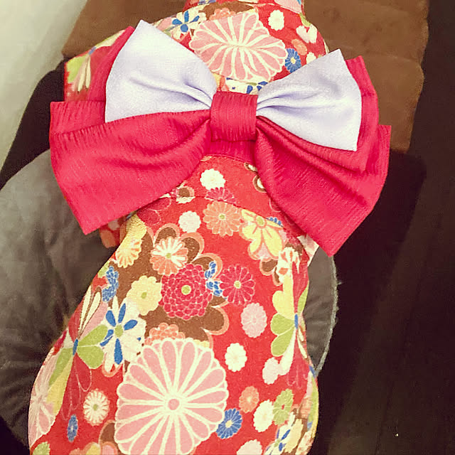 MOMOMAMAさんの実例写真