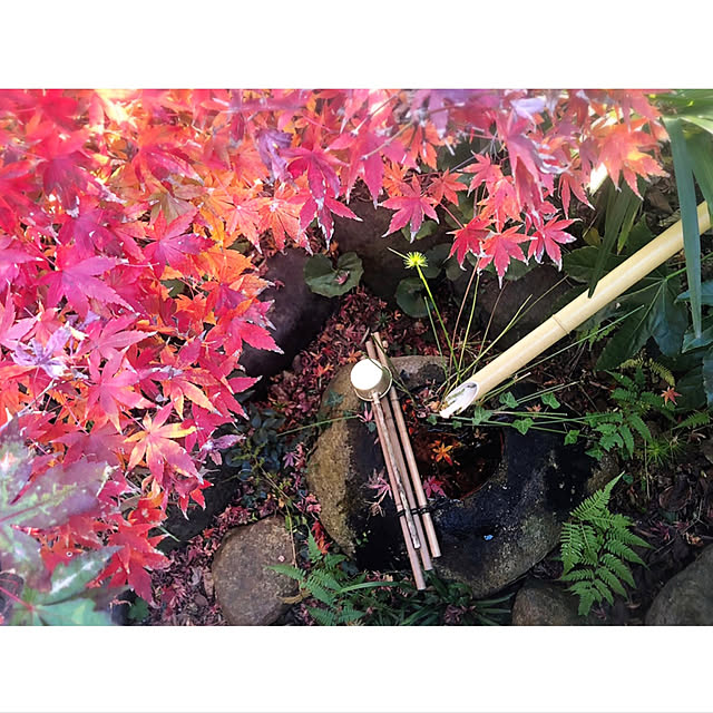 riettaさんの実例写真