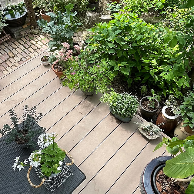 nobikoさんの部屋