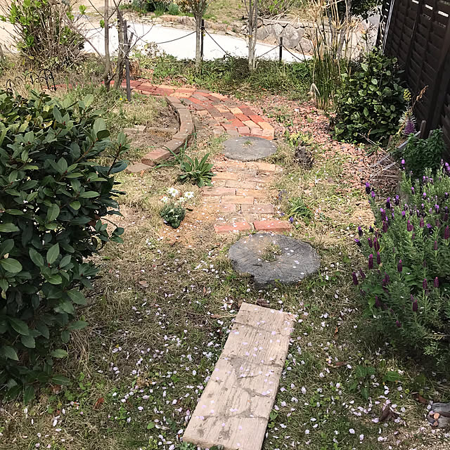 hachi1023さんの実例写真