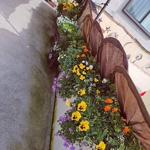 mocomocoさんの部屋
